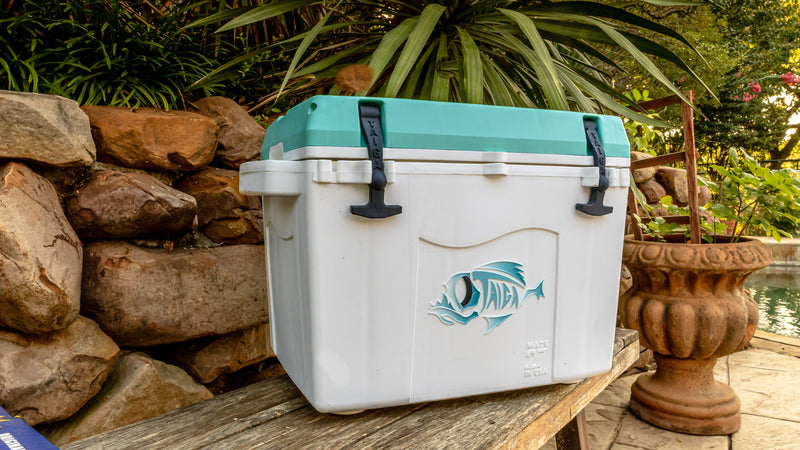 Taiga 27Qt cooler resting on a stone ledge outdoors