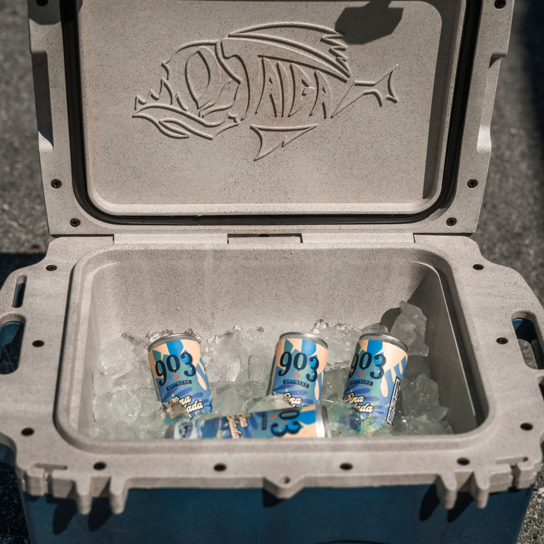 Beer Ice Box The Best Ice Chest With Beer For Any Occasion – Taiga Coolers