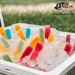 Why Taiga Coolers Are the Best Coolers for Popsicles